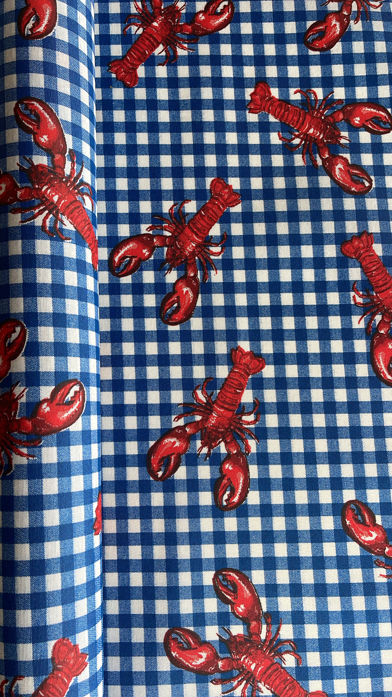 Vichyto - Vichyto Azul